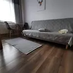 Mery Проживание в семье *