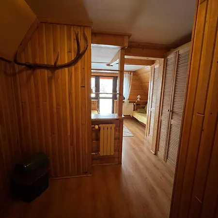 Mery * زاكوباني