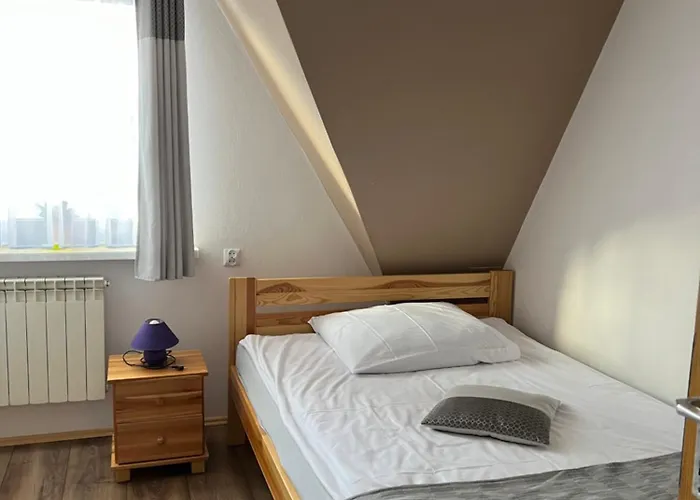 Проживание в семье Mery