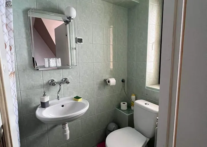 Проживание в семье Mery